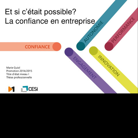 La confiance en entreprise, la thèse pro de Marie Guiol